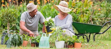 simsearch:400-08116305,k - Happy grandmother and grandfather gardening on a sunny day Stock Photo - Budget Royalty-Free & Subscription, Code: 400-08116294