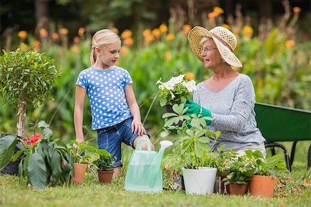 Happy grandmother with her granddaughter gardening on a sunny day Stock Photo - Budget Royalty-Free & Subscription, Code: 400-08116296