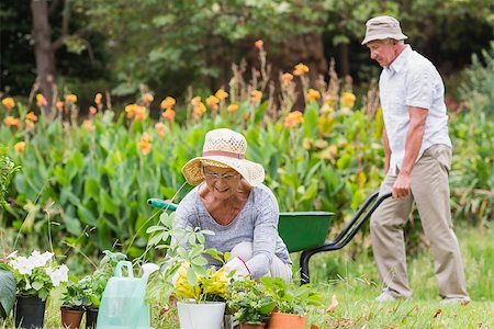 simsearch:400-08116305,k - Happy grandmother and grandfather gardening on a sunny day Stock Photo - Budget Royalty-Free & Subscription, Code: 400-08116291