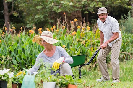 simsearch:400-08116305,k - Happy grandmother and grandfather gardening on a sunny day Stock Photo - Budget Royalty-Free & Subscription, Code: 400-08116292