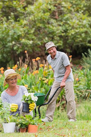 simsearch:400-08116305,k - Happy grandmother and grandfather gardening on a sunny day Stock Photo - Budget Royalty-Free & Subscription, Code: 400-08116293