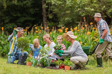 simsearch:400-08116305,k - Happy family gardening on a sunny day Stock Photo - Budget Royalty-Free & Subscription, Code: 400-08116314