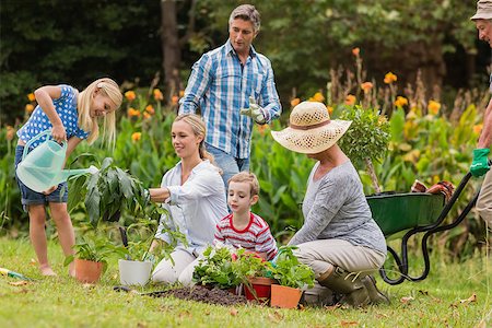 simsearch:400-08116305,k - Happy family gardening on a sunny day Stock Photo - Budget Royalty-Free & Subscription, Code: 400-08116315