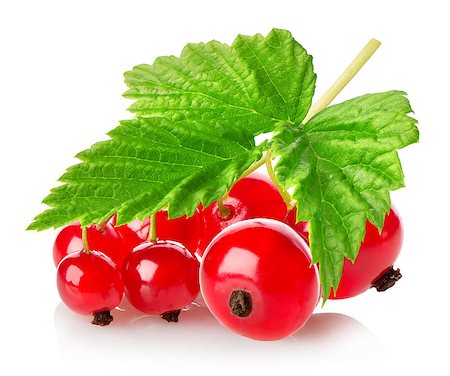 simsearch:400-04423672,k - Branch of red currant isolated on a white background Stockbilder - Microstock & Abonnement, Bildnummer: 400-08116605