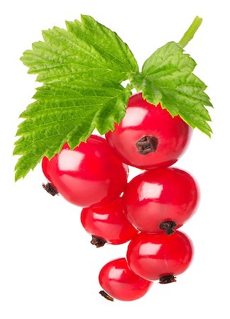 simsearch:400-04423672,k - Red currant with leaves isolated on a white background Stockbilder - Microstock & Abonnement, Bildnummer: 400-08116606