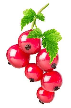 simsearch:400-04423672,k - Red currant with leaves isolated on white Stockbilder - Microstock & Abonnement, Bildnummer: 400-08116607