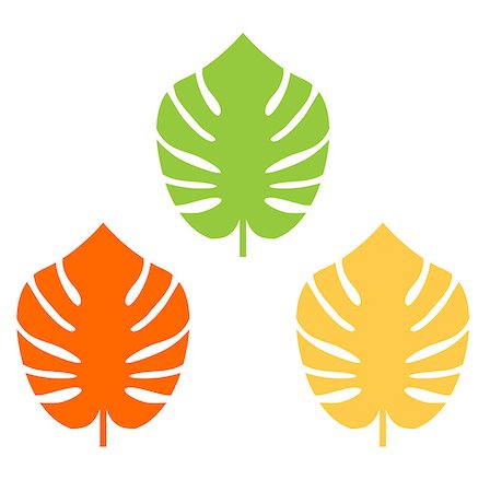 Exotic leaves set. Vector cartoon Illustration Photographie de stock - Aubaine LD & Abonnement, Code: 400-08116620