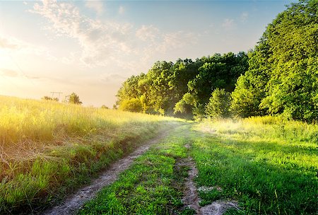 simsearch:400-06867510,k - Field with country road in the morning Stock Photo - Budget Royalty-Free & Subscription, Code: 400-08116636