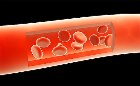 simsearch:400-05362715,k - Blood. Many red erythrocytes, floating on an artery Stock Photo - Budget Royalty-Free & Subscription, Code: 400-08110031