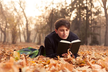 Young man reading a book in the autumn leaves Stock Photo - Budget Royalty-Free & Subscription, Code: 400-08110176