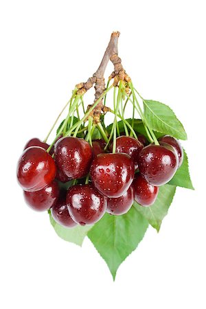 simsearch:400-08110532,k - Bunch of fresh ripe wet cherries close-up with leaves and stems isolated on white background. Stock Photo - Budget Royalty-Free & Subscription, Code: 400-08110532