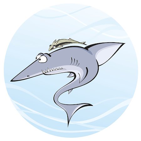 simsearch:400-05387002,k - Shark that has stuck to the Remora Foto de stock - Royalty-Free Super Valor e Assinatura, Número: 400-08111721