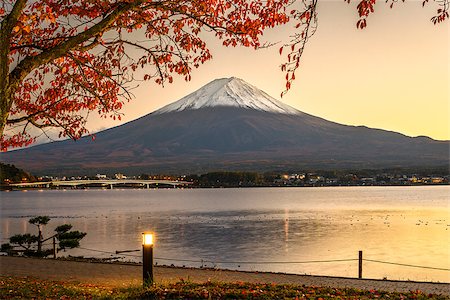 sakura tree scene - Mt. Fuji with autumn foliage at Lake Kawaguchi in Japan. Stock Photo - Budget Royalty-Free & Subscription, Code: 400-08111831
