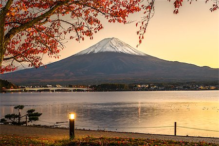 simsearch:400-09063193,k - Mt. Fuji with autumn foliage at Lake Kawaguchi in Japan. Stockbilder - Microstock & Abonnement, Bildnummer: 400-08111831