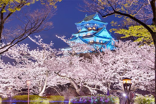 Osaka, Japan at Osaka, Castle with cherry blossoms. Stock Photo - Royalty-Free, Artist: sepavo, Image code: 400-08111841