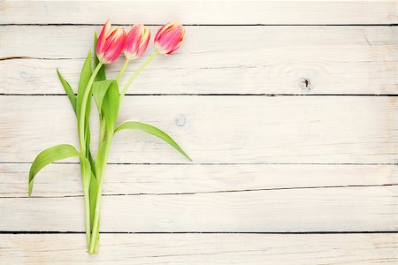 simsearch:400-08036453,k - Colorful tulips on wooden table. Top view with copy space. Toned Stock Photo - Budget Royalty-Free & Subscription, Code: 400-08111950