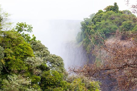 simsearch:400-05216600,k - The Victoria falls is the largest curtain of water in the world (1708 meters wide). The falls and the surrounding area is the National Parks and World Heritage Site - Zambia, Zimbabwe Foto de stock - Super Valor sin royalties y Suscripción, Código: 400-08112159