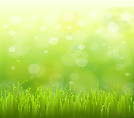 natural green background with selective focus. Illustration Stock Photo - Budget Royalty-Free & Subscription, Code: 400-08113309