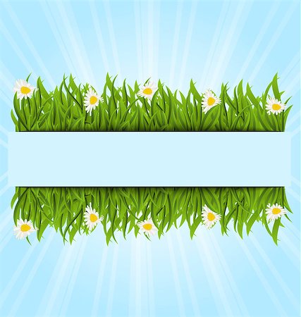 simsearch:400-07758113,k - Illustration spring postcard with grass field and flowers chamomiles, copy space for your text - vector Foto de stock - Super Valor sin royalties y Suscripción, Código: 400-08113351