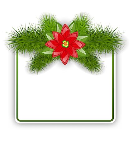 simsearch:400-07920343,k - Illustration Christmas postcard with fir twigs and flower poinsettia - vector Stock Photo - Budget Royalty-Free & Subscription, Code: 400-08113382