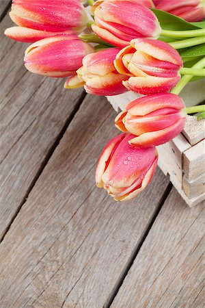 simsearch:400-08036453,k - Colorful tulips on wooden table. Top view with copy space Stock Photo - Budget Royalty-Free & Subscription, Code: 400-08113623