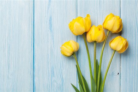 simsearch:400-08036453,k - Yellow tulips over wooden table background with copy space Stock Photo - Budget Royalty-Free & Subscription, Code: 400-08113720