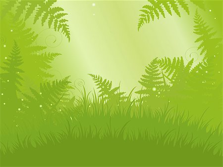 dazdraperma (artist) - Illustration of fern meadow background Foto de stock - Super Valor sin royalties y Suscripción, Código: 400-08134546