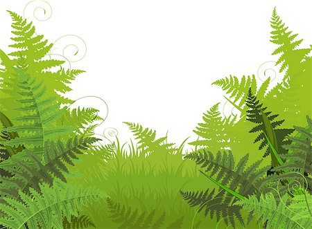 dazdraperma (artist) - Illustration of fern meadow background Foto de stock - Super Valor sin royalties y Suscripción, Código: 400-08135565