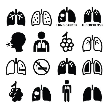 doctor icon - Human body parts - lungs vector icons isolated on white Stock Photo - Budget Royalty-Free & Subscription, Code: 400-08138207