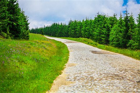 simsearch:694-03333040,k - Road to Semenic resort in Semenic Mountains, Romania. Stock Photo - Budget Royalty-Free & Subscription, Code: 400-08138246