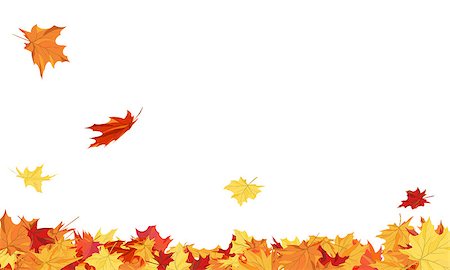 simsearch:400-07675553,k - Autumn copy-space frame with maple leaves Stock Photo - Budget Royalty-Free & Subscription, Code: 400-08138307