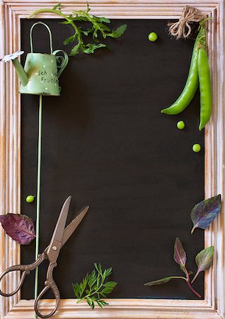 Vegetables garden frame with copy space for text. Garden scissors, twine, watering can, garlic, basil, arugula and green peas. Photographie de stock - Aubaine LD & Abonnement, Code: 400-08138381