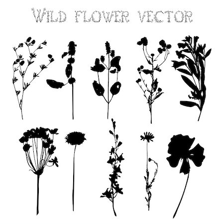 Set of silhouettes of wild flowers and leaves on a white background vector Stock Photo - Budget Royalty-Free & Subscription, Code: 400-08132317