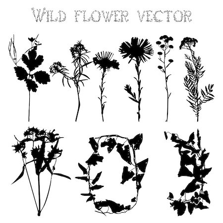 Set of silhouettes of wild flowers and leaves on a white background vector Stock Photo - Budget Royalty-Free & Subscription, Code: 400-08132318