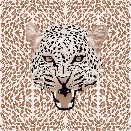 leopard print pattern. Abstract leopard pattern vector Stock Photo - Budget Royalty-Free & Subscription, Code: 400-08132440