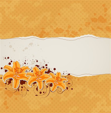 simsearch:400-08132574,k - Background with lily and ragged orange paper Stockbilder - Microstock & Abonnement, Bildnummer: 400-08132562