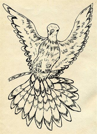 simsearch:400-08133225,k - Grunge decorative sketch of a pigeon, dove, hand drawn illustration. Foto de stock - Super Valor sin royalties y Suscripción, Código: 400-08132650