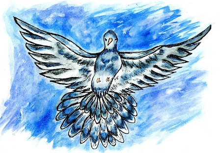 simsearch:400-08133225,k - Grunge decorative sketch of a pigeon, dove, hand drawn illustration. Foto de stock - Super Valor sin royalties y Suscripción, Código: 400-08132651