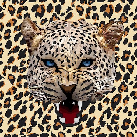 leopard print pattern. Abstract leopard pattern vector Stock Photo - Budget Royalty-Free & Subscription, Code: 400-08132797