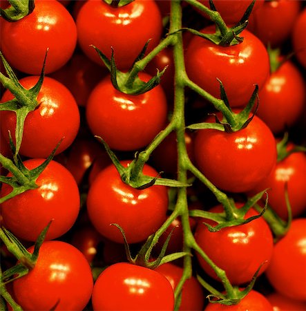 simsearch:400-06857433,k - Background of Ripe Shiny Raw Cherry Tomatoes on Stems closeup Foto de stock - Super Valor sin royalties y Suscripción, Código: 400-08154421