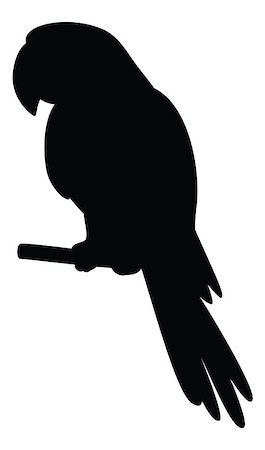 simsearch:400-05876148,k - Clever Speaking Parrot Sits on a Wooden Pole, Black Silhouette on White Background. Vector Foto de stock - Super Valor sin royalties y Suscripción, Código: 400-08155849