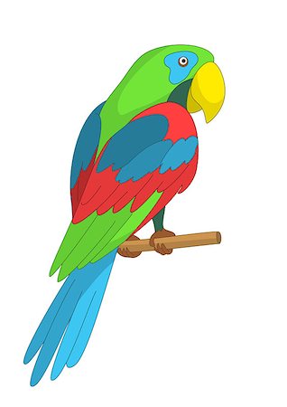 Clever speaking colored parrot sits on a wooden pole. Vector Fotografie stock - Microstock e Abbonamento, Codice: 400-08155851