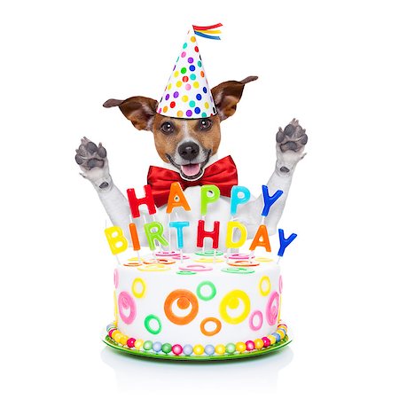 simsearch:400-08155906,k - jack russell dog  as a surprise behind happy birthday cake with  candles ,wearing  red tie and party hat  , isolated on white background Stock Photo - Budget Royalty-Free & Subscription, Code: 400-08155906