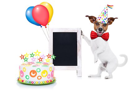 simsearch:400-08155906,k - jack russell dog holding a empty blank blackboard or placard,, red tie and party hat on , isolated on white background Stock Photo - Budget Royalty-Free & Subscription, Code: 400-08155908