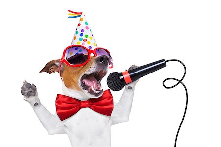 simsearch:400-08155906,k - jack russell dog  as a surprise, singing birthday song like karaoke with microphone wearing  red tie and party hat  , isolated on white background Stock Photo - Budget Royalty-Free & Subscription, Code: 400-08155914