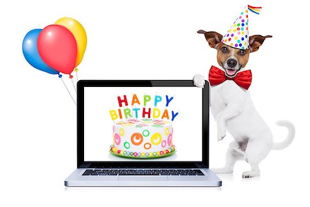 simsearch:400-08155906,k - jack russell dog holding a empty blank pc computer screen laptop , red tie and party hat on , isolated on white background Stock Photo - Budget Royalty-Free & Subscription, Code: 400-08155910