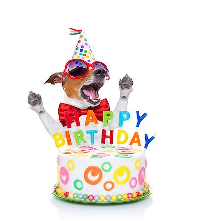 simsearch:400-08155906,k - jack russell dog  as a surprise, singing birthday song  ,behind funny cake,  wearing  red tie and party hat  , isolated on white background Stock Photo - Budget Royalty-Free & Subscription, Code: 400-08155912