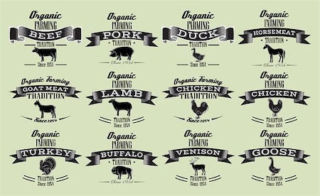 set vector template in retro style for packaging with livestock and poultry Stock Photo - Budget Royalty-Free & Subscription, Code: 400-08156156