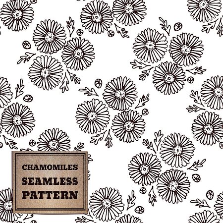 florist background - Seamless pattern with bouquet of chamomiles and cardboard label Photographie de stock - Aubaine LD & Abonnement, Code: 400-08157605