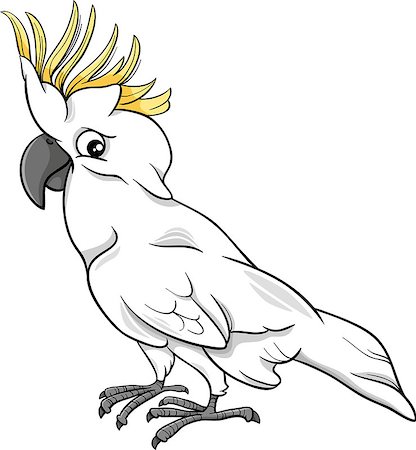 Cartoon Illustration of Funny Cockatoo Parrot Bird Stock Photo - Budget Royalty-Free & Subscription, Code: 400-08157692